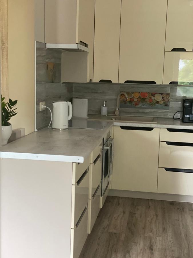 דרוסקינינקאי V15 Apartment מראה חיצוני תמונה