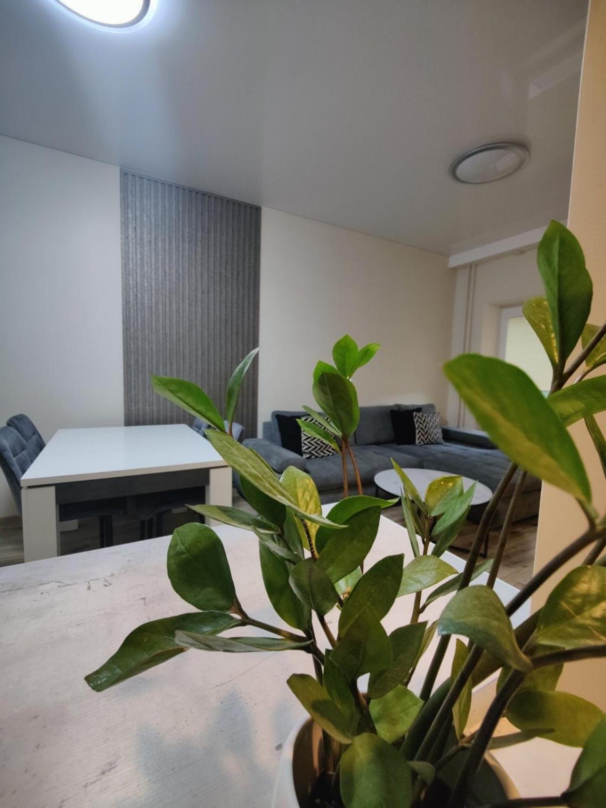 דרוסקינינקאי V15 Apartment מראה חיצוני תמונה